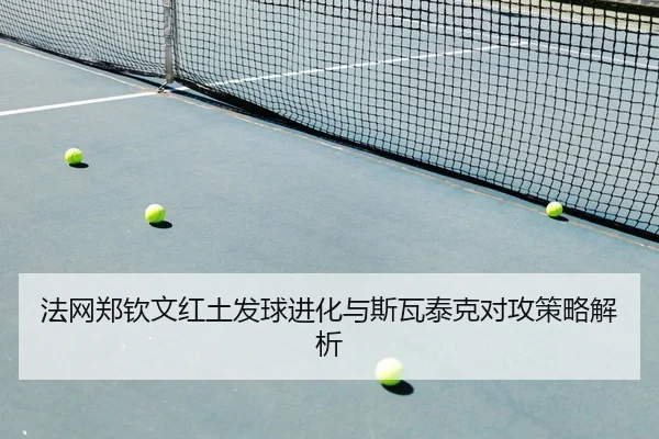 fa-wang-zheng-qin-wen-hong-tu-fa-qiu-jin-hua-yu-si-wa-tai-ke-dui-gong-ce-lve-jie-xi-2-285.jpg