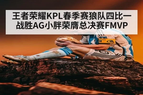 王者荣耀KPL春季赛狼队四比一战胜AG小胖荣膺总决赛FMVP
